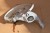 bc2349c3d82d45bcf5bfd77dafbecbef.jpg